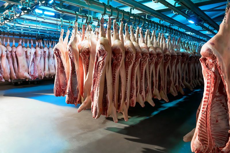 Bombas de vacío para procesadores de carne