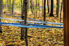 Tubing equipment used to extract maple sap from trees.